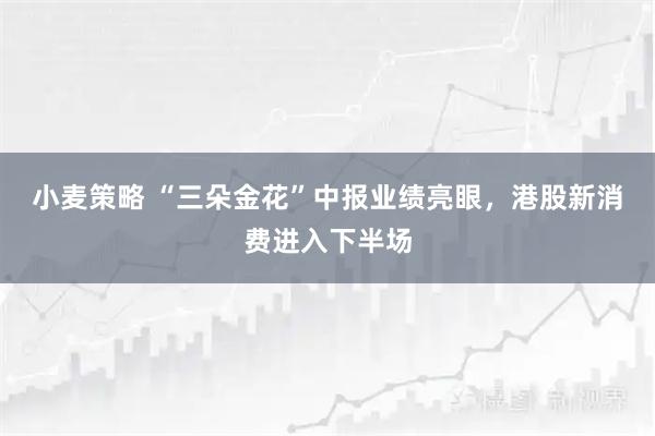 小麦策略 “三朵金花”中报业绩亮眼，港股新消费进入下半场