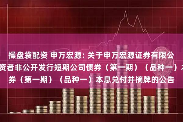 操盘袋配资 申万宏源: 关于申万宏源证券有限公司2025年面向专业投资者非公开发行短期公司债券（第一期）（品种一）本息兑付并摘牌的公告