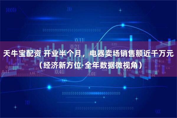 天牛宝配资 开业半个月，电器卖场销售额近千万元（经济新方位·全年数据微视角）